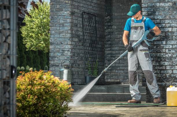 Best Solar Panel Cleaning  in Odessa, FL