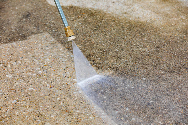 Best Gutter Cleaning  in Odessa, FL